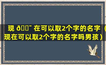 现 🐯 在可以取2个字的名字（现在可以取2个字的名字吗男孩）